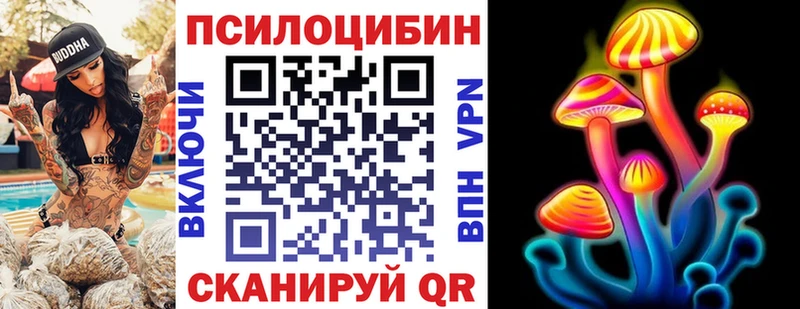 купить  сайты  Балашов  Галлюциногенные грибы прущие грибы 